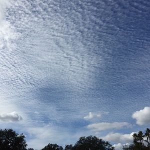 Meet your Posher, Will